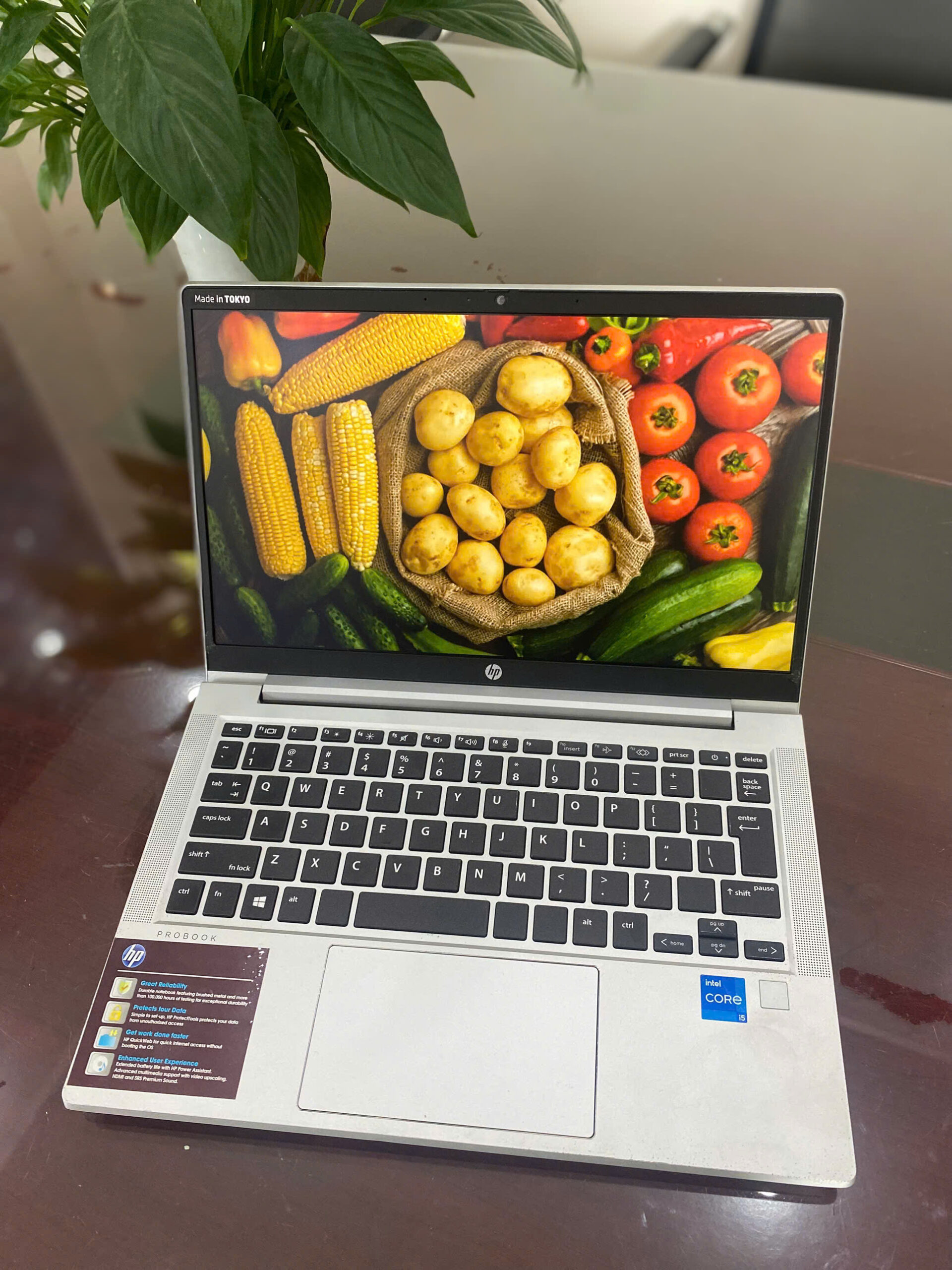 Laptop HP Probook 430G8 (Core™ i5-1135G7 | RAM 8GB | SSD 256GB | Intel® UHD | 13.3 inch HD |