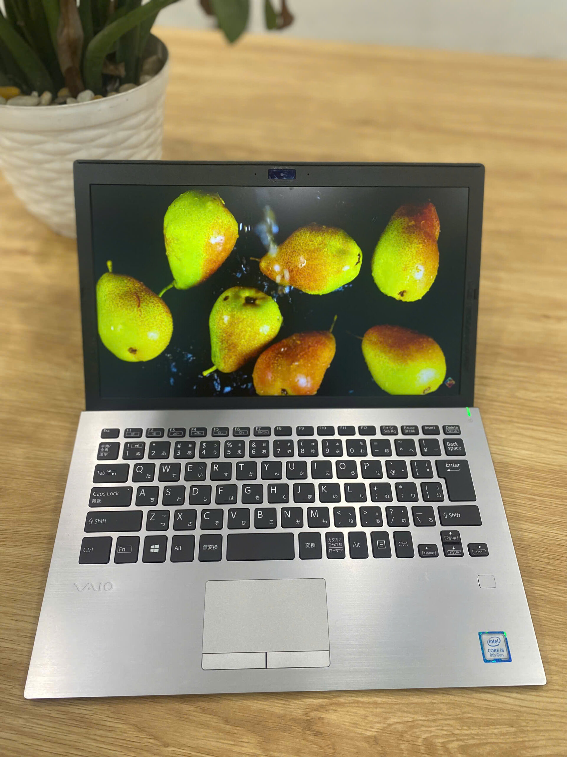 Laptop Sony Vaio Core i5-8265U 8GB 256GB/ Màn hình inch Full HD