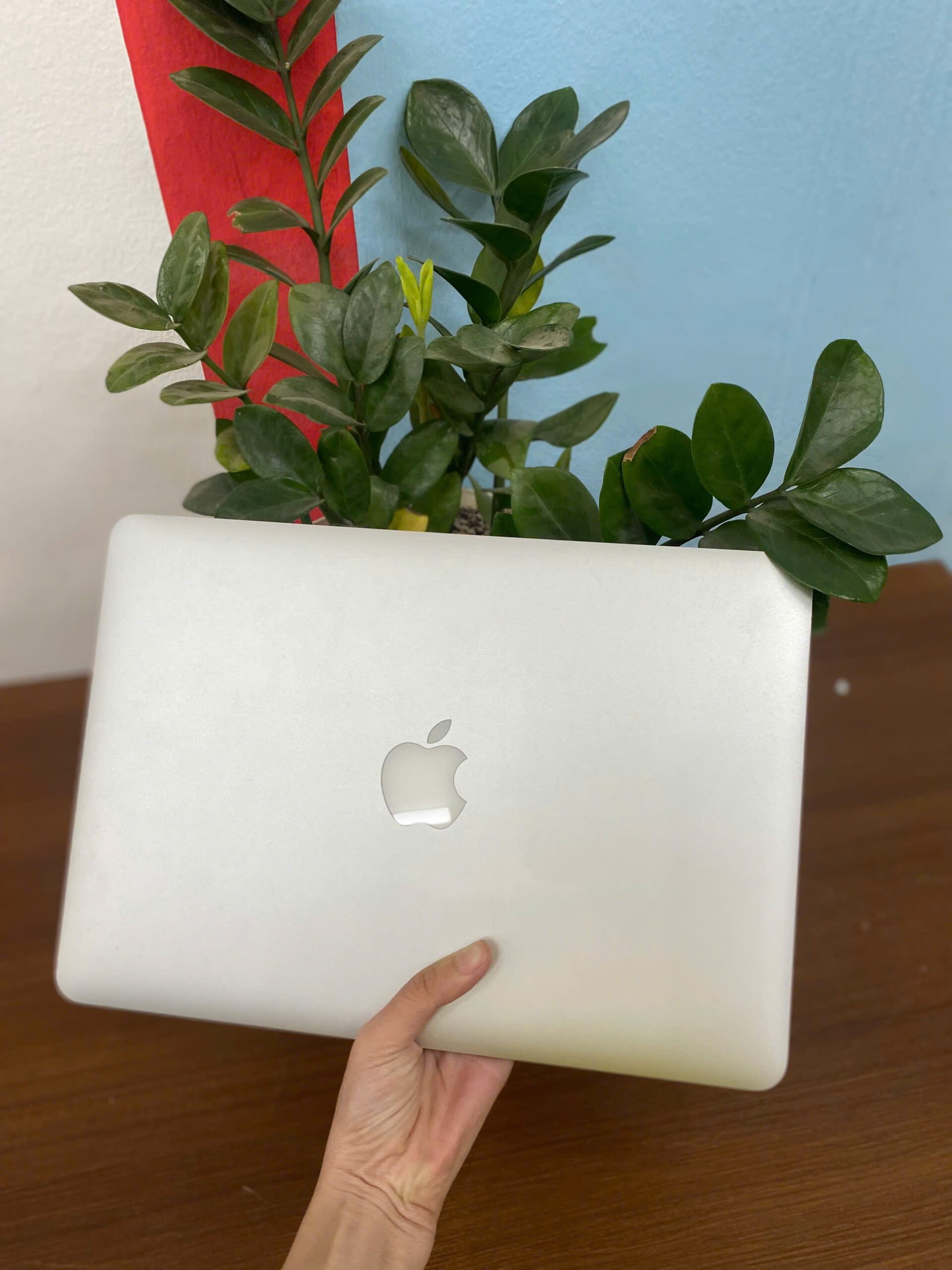 MacBook Pro 2015 i5/ RAM 8GB/ SSD 256GB màn 13.3 inch Retina - Ảnh 2